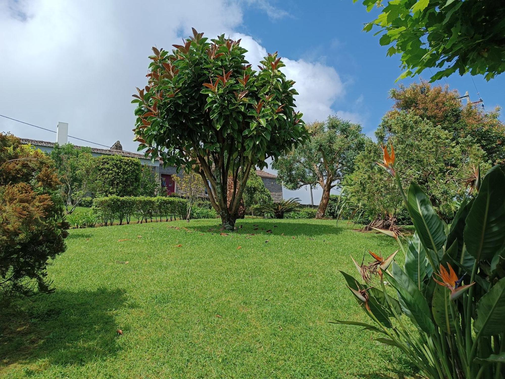 Tradicampo Eco Country Houses Nordeste  Exteriér fotografie